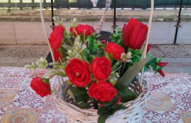 Stella Marina - Foto 13