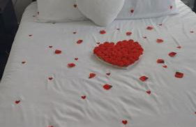 Petit appartement charmant - Foto 6