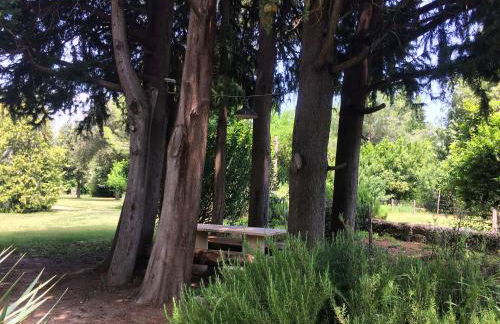 Agriturismo "Borgo Madonna degli Angeli" - charming cottages in the gardens ! - Foto 21