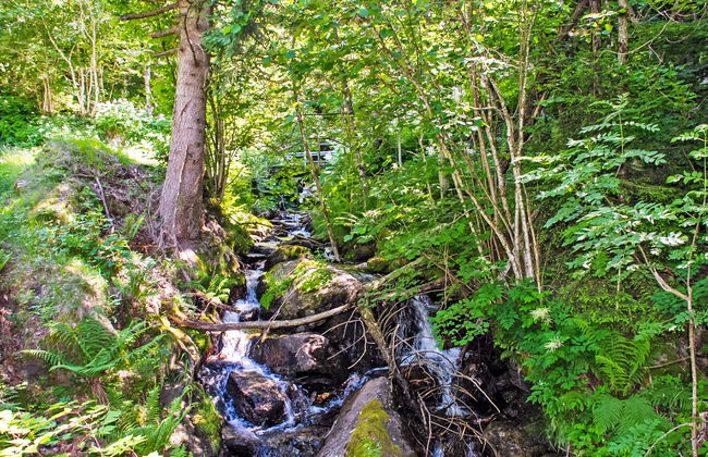 Rustico L'Hibou - Foto 23