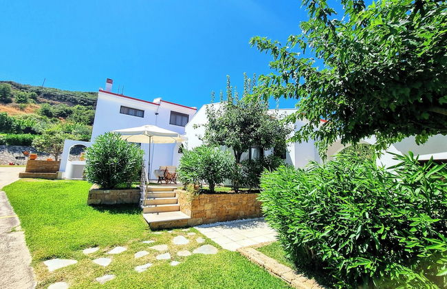 Ktima Amitsa - Foto 12