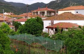 Peter's traditional house - Foto 18