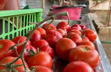 Kokos Traditional Family House - Foto 27