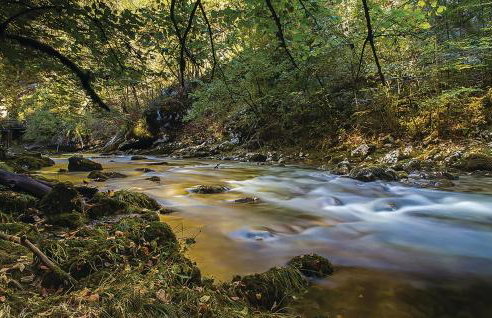 Amazing Home In Podstene - Foto 38