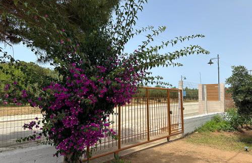 Sofia's Yard House - Foto 11