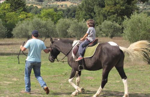 Quinta Santo Antonio do Rio - Foto 29
