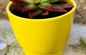 poetic house - Foto 18