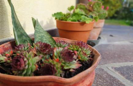 NIKO casa - 3 bedroom townhouse - Foto 33