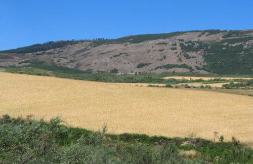 Casa da Bica Gondesende - Photo 41
