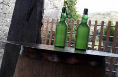 Flor de Pomar - Foto 37