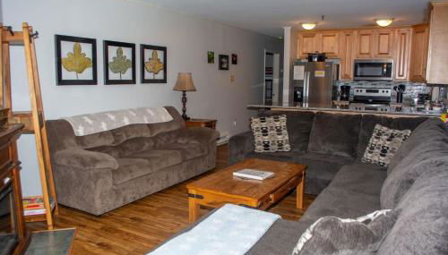 Winterplace Ski in Ski out condo First Floor D103 - Foto 3