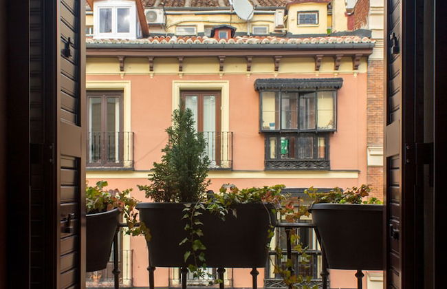 Arenal Suites Preciados - Photo 40