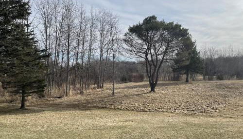 Rifle River Lodge - Foto 4