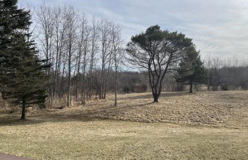 Rifle River Lodge - Foto 4