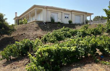 Villa Quinta Dom Reis - Foto 1