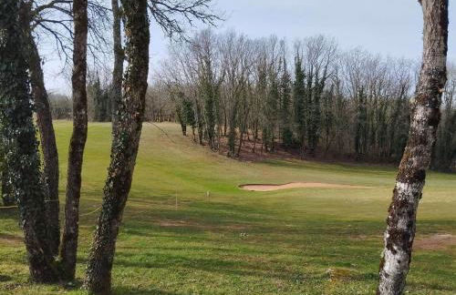 Chalet cosy au vert pour 6 avec piscine et Wi-Fi, proche Souillac - FR-1-828-3 - Foto 30