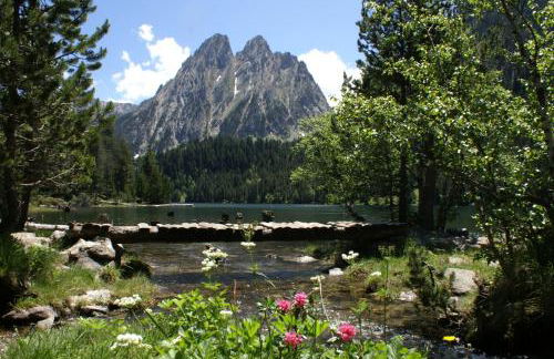 Alba D'Esteve. Casa Rural - Photo 38