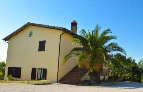 Cardinal Girolamo - Foto 3