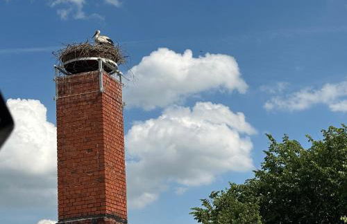 RitterLiving Ferienapartment am Markt - Foto 32