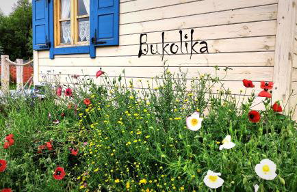 Skotopaska & Bukolika - Foto 41