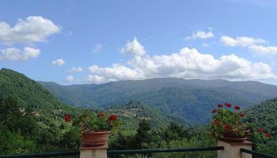 House With Panoramic Terrace - Foto 3