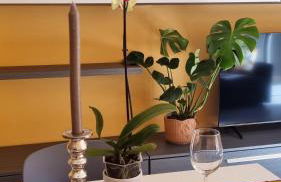 Barbara tra gli Ulivi - Foto 13