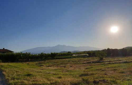 Campagna D'aMare - Foto 19