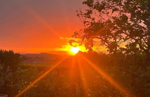 VILLA GIOTTO Florence - Foto 11