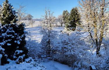 Taunusglück - Foto 10