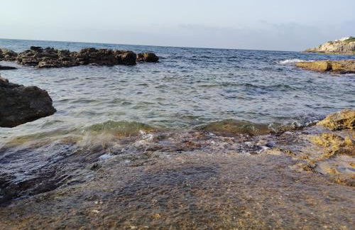 La Casetta di Camelia - Foto 63