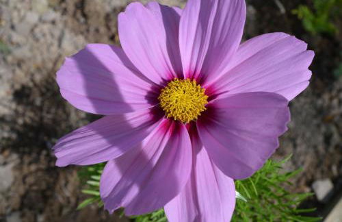 Gite la Baudrière - Foto 20