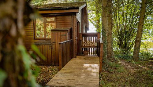 Chiffchaff Lodge with Hot tub - Foto 3, Garden view