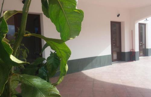 Segesta Antichi Sapori - Foto 66