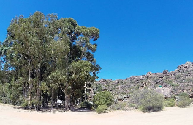 de Pakhuys - Foto 72