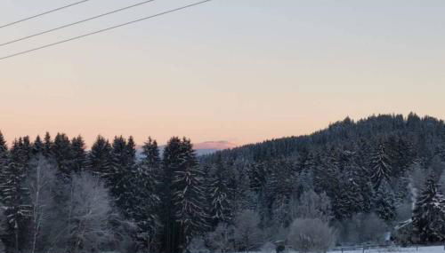 Ferienwohnung Ramona - idyllisch und charmant - Foto 3