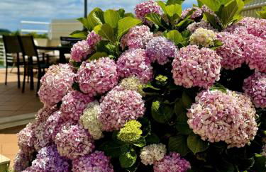 Coastal Breeze Villa in Sesimbra - Foto 43