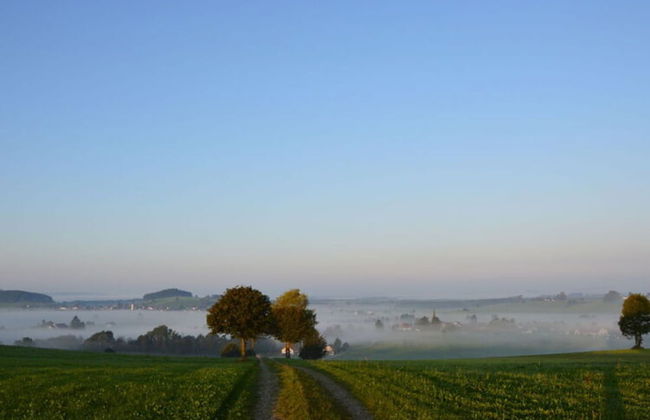 Ferienhof Schonmetzler - Photo 16