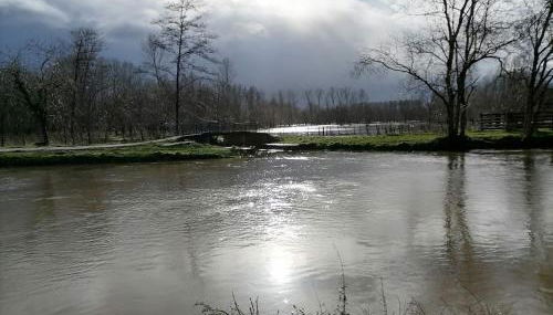 Le logis du heron - Foto 4