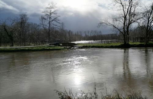 Le logis du heron - Foto 4
