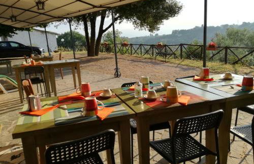 Le Storie di Bambu - Foto 5