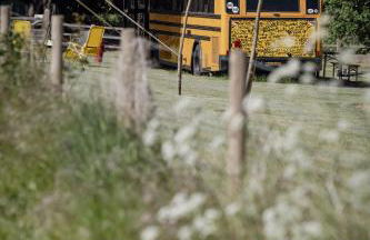 The Skoolie at Field of Dreams - Foto 9