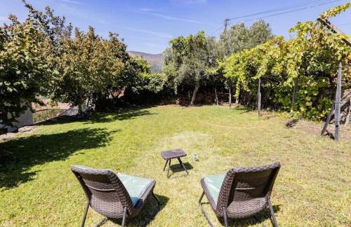 Casa Dona Aninhas - Douro - Foto 18