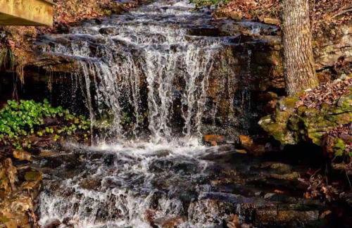 Blueberry Farm Cottage, Hot Tub, Creek, Game Room - Foto 24