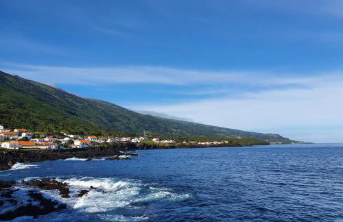 Terra`s Place - Photo 20