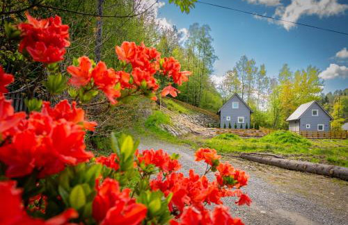Domki u Sosny - Nowoczesne domki na wyłączność, spokojna okolica blisko lasu i szlaku, 1,2 km od centrum Brennej - Foto 32