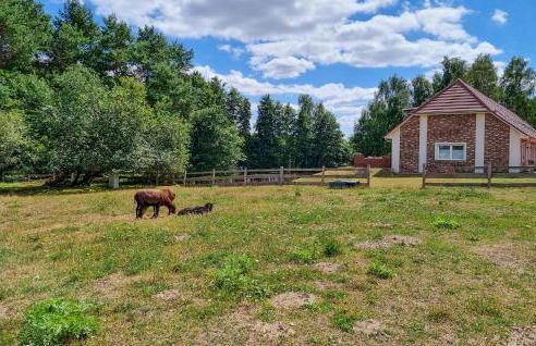 Pet Friendly Apartment - Foto 10