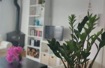 PiedraNegra, apartamento completo con patio, terraza y BBQ - Foto 6