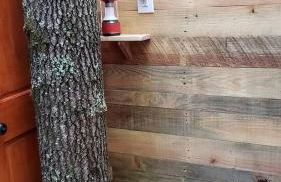 Secluded Forest Cabin with Clear Roof for Stargazing near Watts Bar Lake – Grandview, TN - Foto 18