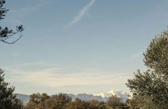 Modern House Among Spoltore Olive Trees - Foto 38