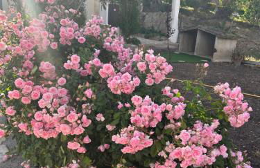 Masia Bernat - Foto 8